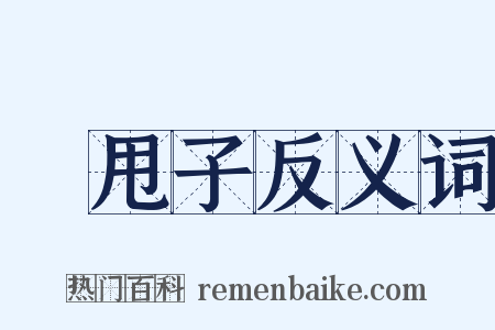 撢甩子反义词是什么意思的图片